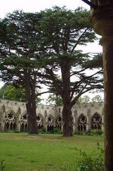 Claustro de la catedral de Salisbury