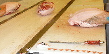 Proceso del jamón
