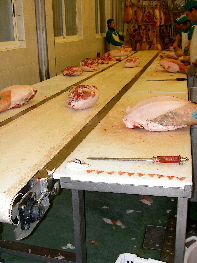 Proceso del jamón