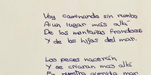 Video poema 8