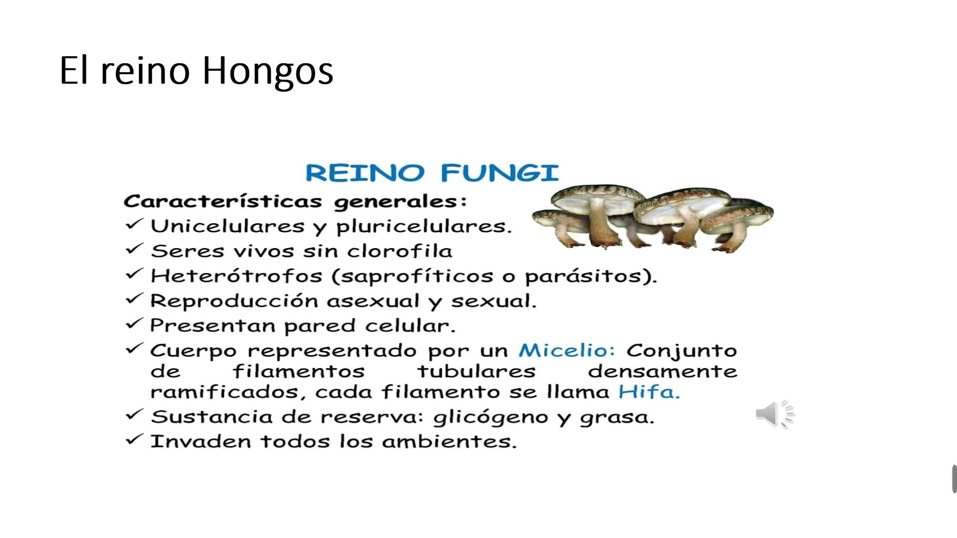 Tema 2 Moneras, protoctistas y hongos (III): Reino Hongos | Mediateca de  EducaMadrid