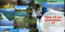 Tema 11 Los ecosistemas (I)