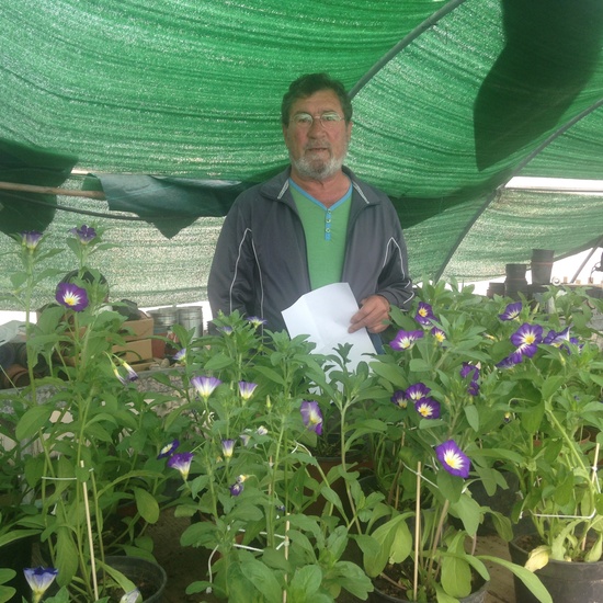 GRACIAS ANTONIO POR TODA TU DEDICACIÓN