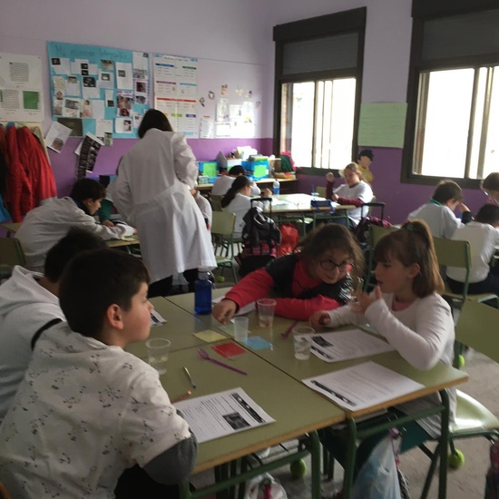 Acercamiento al Método Ciéntífico. 4º Curso. 17