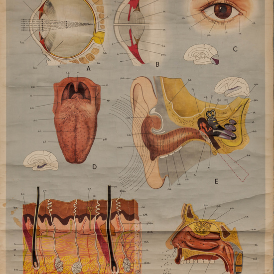 IES_LOPEDEVEGA_CIENCIASNATURALES_005