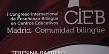 Mesa de comunicación: CLIL teachers: which training models?