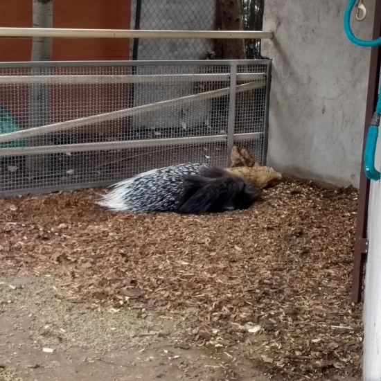 Granja de los Cuentos Infantiles I 25