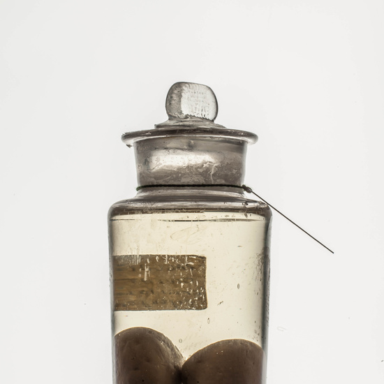 IES_CARDENALCISNEROS_CIENCIASNATURALES_009