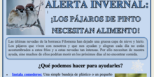 Cartel Alerta invernal pájaros de Pinto