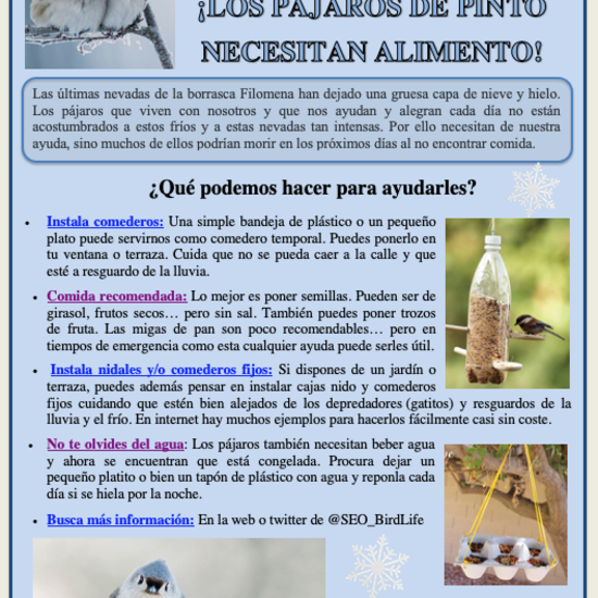 Cartel Alerta invernal pájaros de Pinto