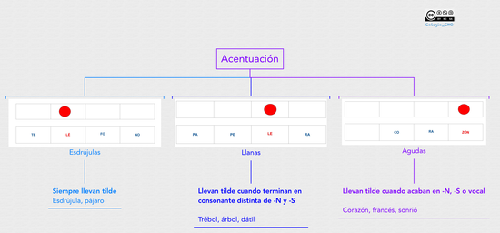 P3_LG Acentuación de palabras