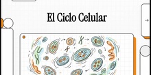 Vídeo resumen "El ciclo celular, Biología 2º Bachillerato