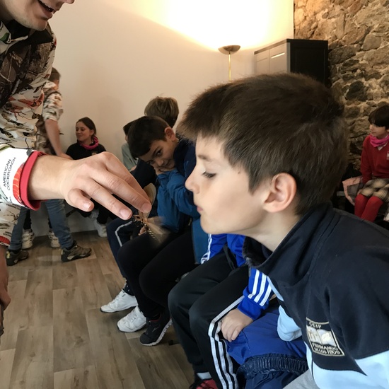 2020_02_27_3º visita Insectpark (3)_CEIP FDLR_Las Rozas 47