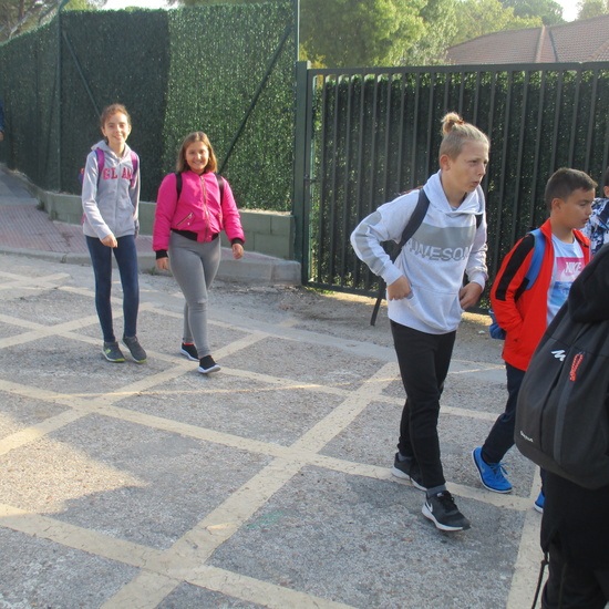 EN MÚLTIPLE 6º - 2019 11