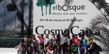 Visita a la exposición El Bosque. 1º 2º Primaria. CEIP Pinocho. 2016/17 3