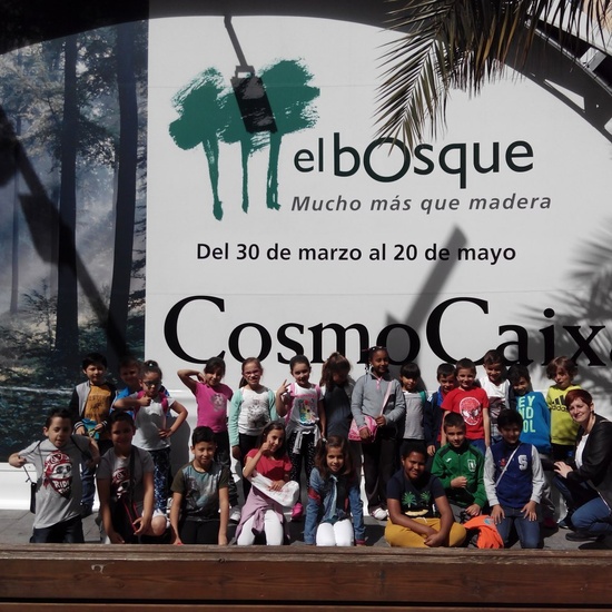 Visita a la exposición El Bosque. 1º 2º Primaria. CEIP Pinocho. 2016/17 3