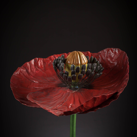 IES_CARDENALCISNEROS_BOTANICA_III_MODELOS_068