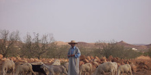 Ganadero, Túnez
