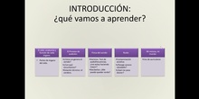 La audición. Salud auditiva