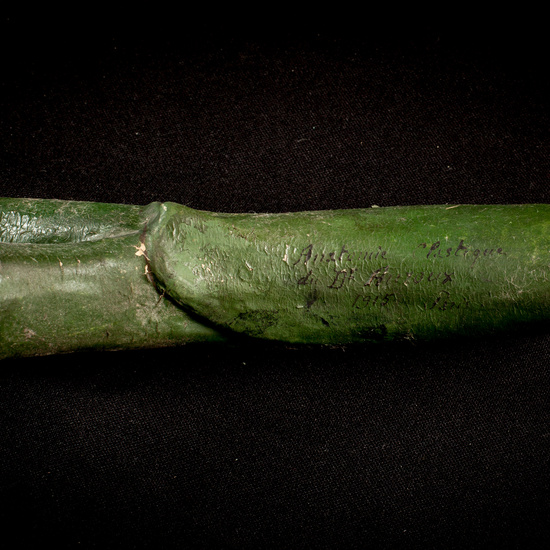 IES_ISABELLACATOLICA_BIOLOGIA_007