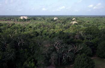 Vista de Chichén Itzá desde El Castillo o Pirámide de Kukulcán,