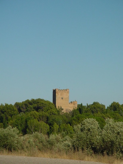 Castillo Palacio de Batres