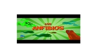 vídeo los anfibios