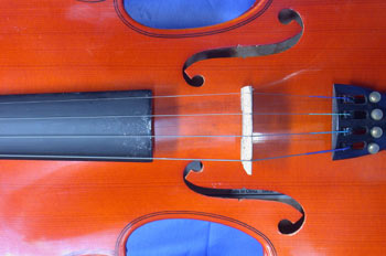 Detalle de la caja de un violín