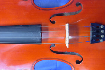 Detalle de la caja de un violín