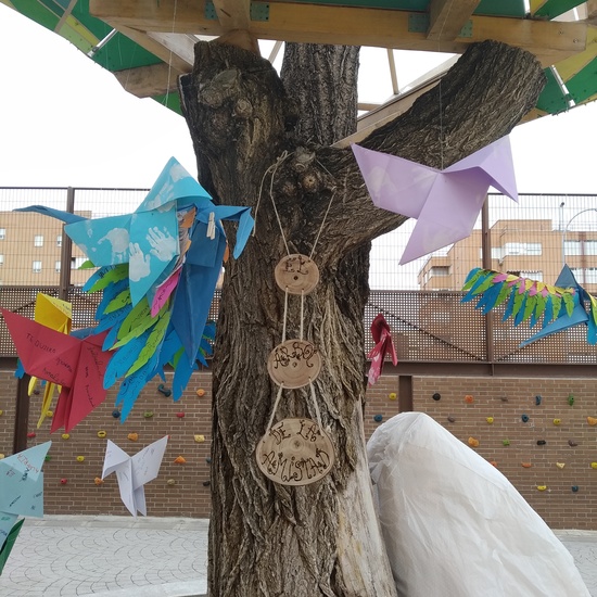 Día de la Paz 2020. El árbol de la Amistad 13