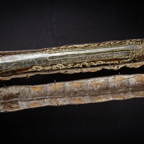 IES_SANISIDRO_MUSEO_Zoolgía_018