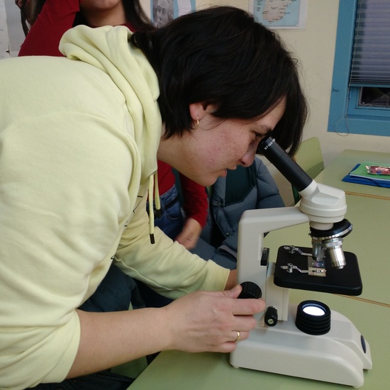 Usando el microscopio 2