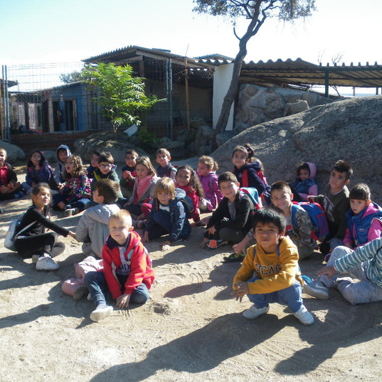 SALIDA A GRANJA ESCUELA EL PALOMAR (Chapinería ) 14