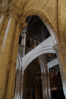 Columnas y contrafuertes de la Catedral de Tuy, Pontevedra, Gali