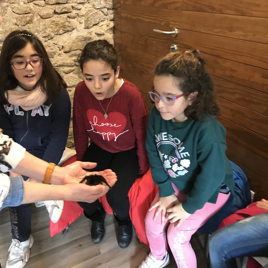 2020_02_27_3º visita Insectpark (5)_CEIP FDLR_Las Rozas 19