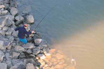 Pescador en Budapest, Hungría