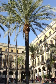 Plaza Real, Barcelona