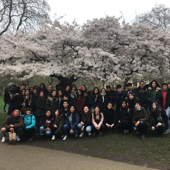 Viaje a Cambridge marzo 2019 12
