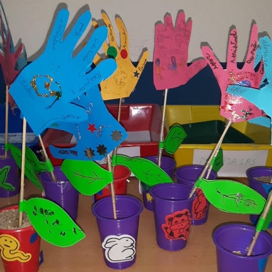 INVERNADEROS PARA LA PAZ 3