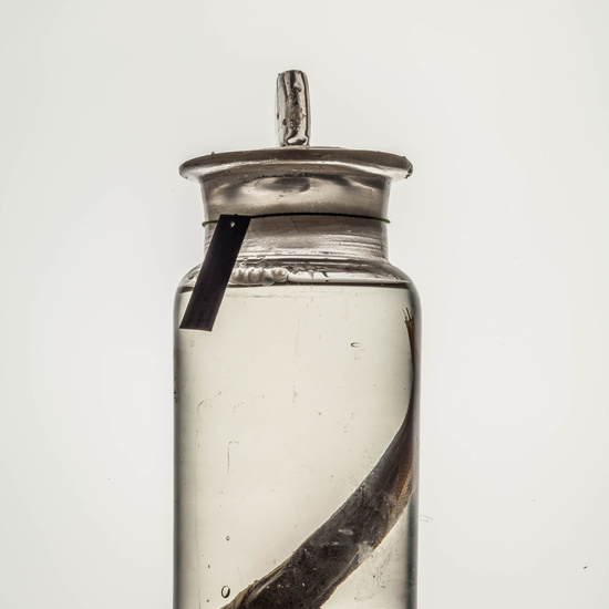 IES_CARDENALCISNEROS_CIENCIASNATURALES_137