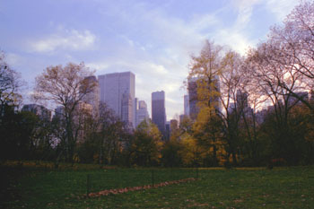 Central Park, Nueva York, Estados Unidos