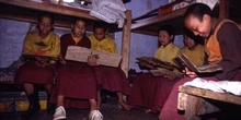 Alumnos del Monasterio de Pemayangste durante el estudio en su d