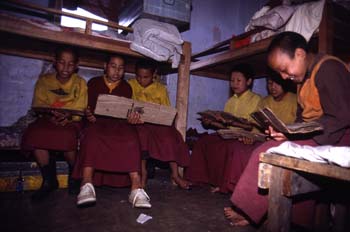 Alumnos del Monasterio de Pemayangste durante el estudio en su d