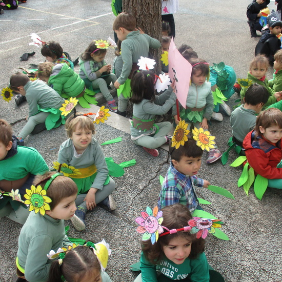 CARNAVAL 7