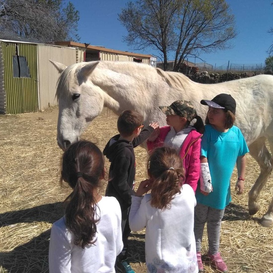 SALIDA NATURALEZA 35