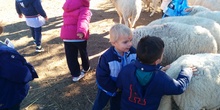 2016_inf 4 años a visita la granja 24