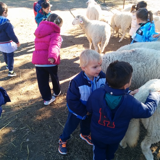 2016_inf 4 años a visita la granja 24