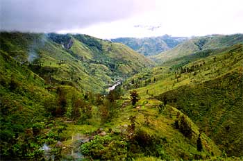 Vistas de una de las bifurcaciones del Valle de Baliem, Irian Ja