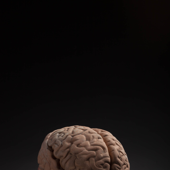 IES_CARDENALCISNEROS_ANATOMIA_MODELOS_105