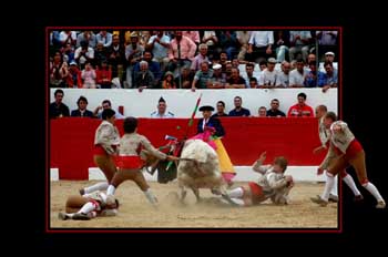 Forcados portugueses, Portugal